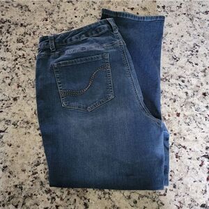 Falls Creek Denim Jean Size 18 S